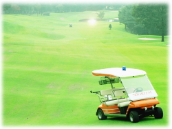 Shoritsu Golf Solutions（ショウリツ ゴルフ ソリューションズ）